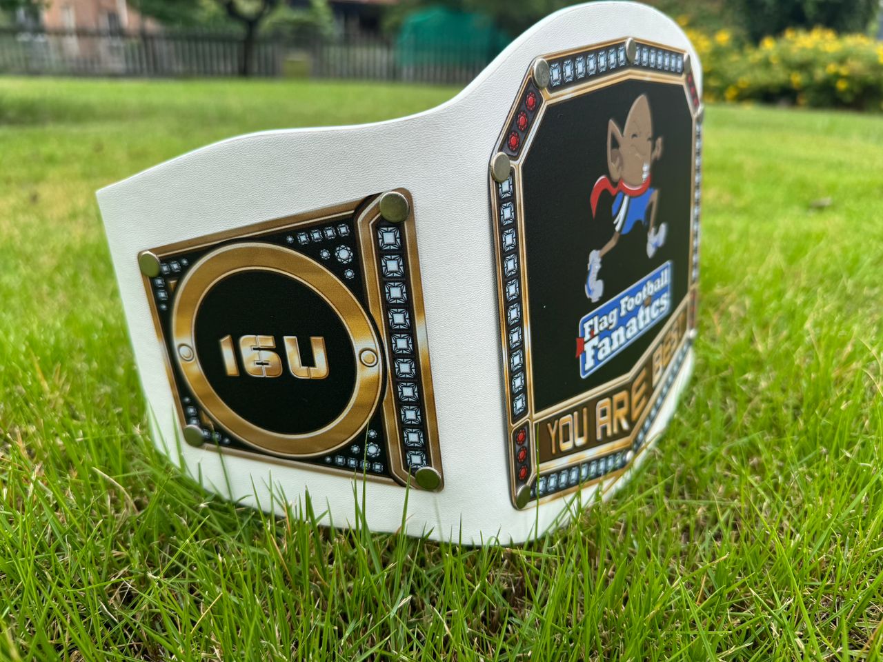 A custom championship belt