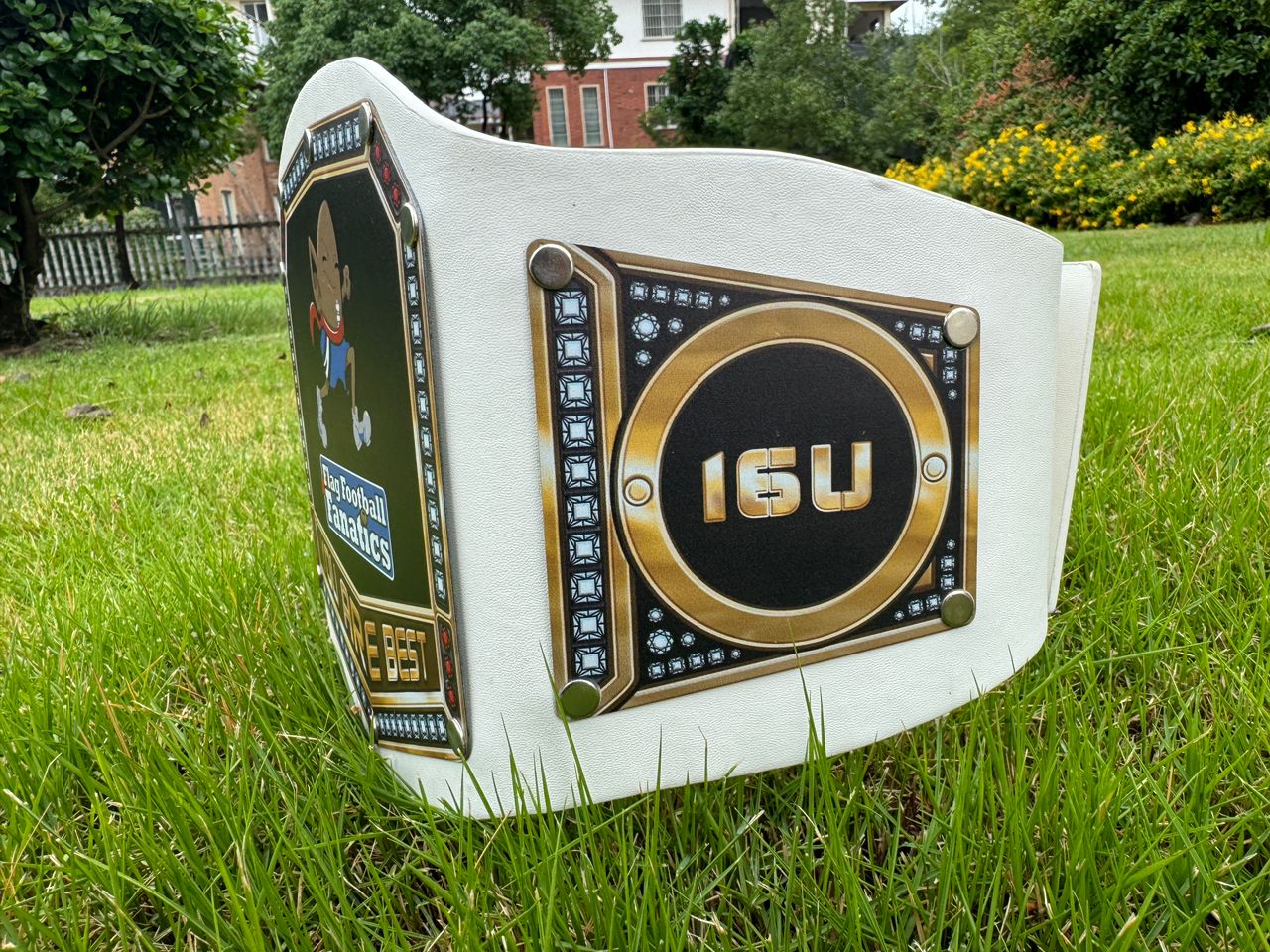 A custom championship belt